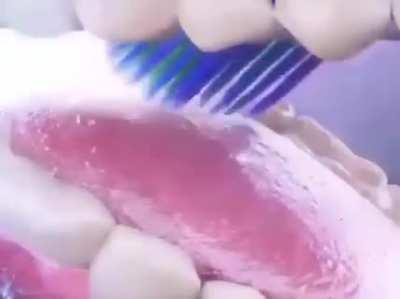 Cursed_Teeth_brushing