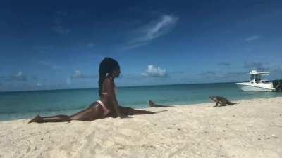 YOGA InStRUCtOr horRIbLy mAuLeD by oppORTuNIstiC IgUAnA eNds in BatTle tO THE dEaTH