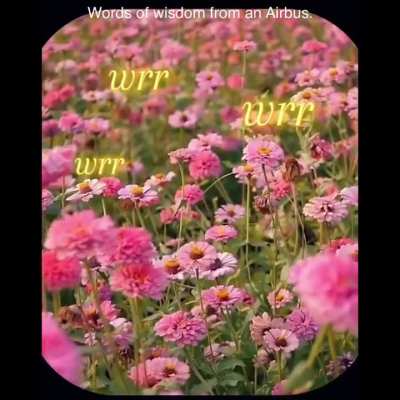 Words of wisdom - Airbus