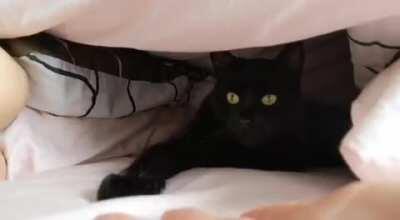 0 - 100 real quick (ft my evil laugh)