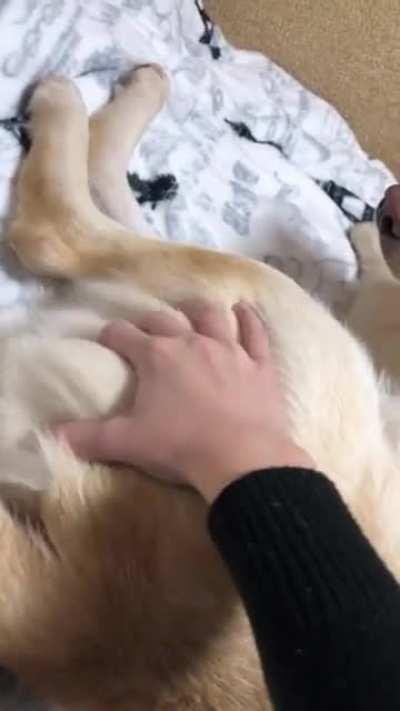 You naughty naughty...