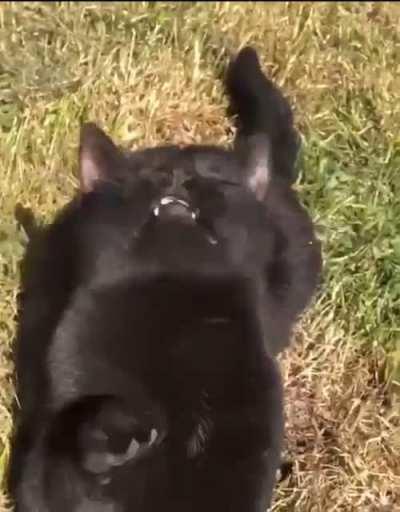 He just wondering what the f is going on