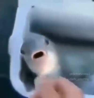 Videos random que encuentro por hay