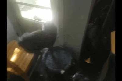 Home Security System in Action