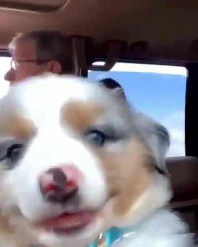 A fan of traveling in the front seat