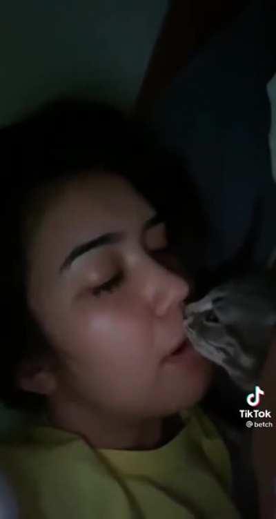 Cat bites girls face while snuggling.