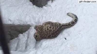 I feel this belongs here