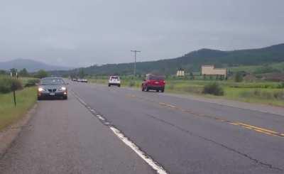 Car hits moose in Colorado