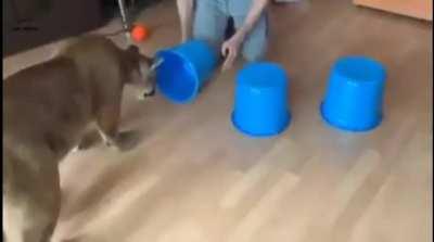 Got tricked but still happy