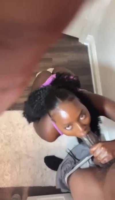 Elsie doing what it do