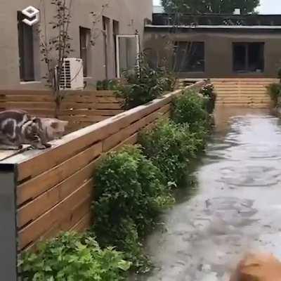 How did he do that?!?