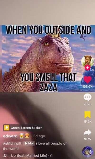 zaza is funny. No hate