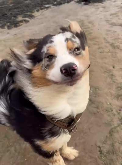 It’s a little windy on the beach today