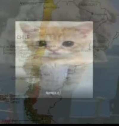 todos concordamos que este reddit somos puros chilenos, me incluyo