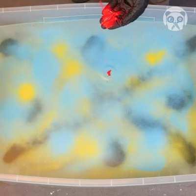 How to kill yourself in 10 easy stylish steps