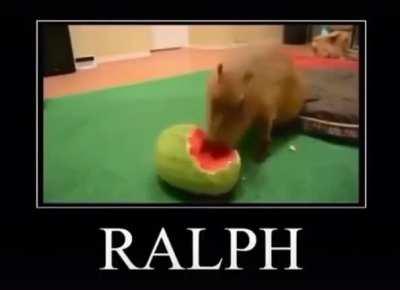 RALPH ._.XD