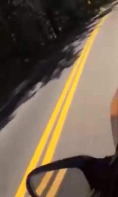 Skateboarding on a dead car 🤫