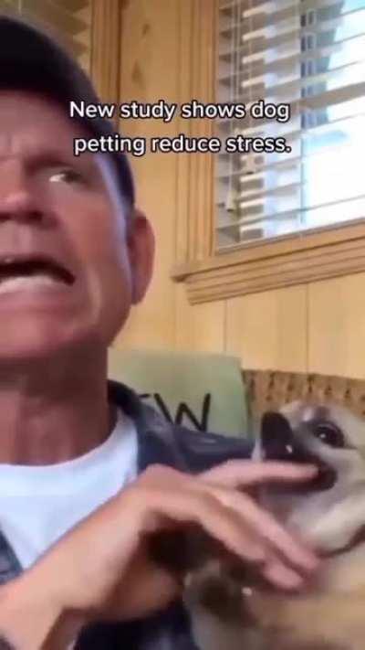 thanks, i hate him petting the dawg