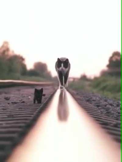 anyone else what to see a movie based on their adventures?