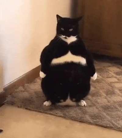 Just standing here observing