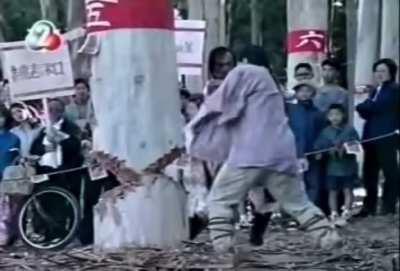 HMRB as I catch this tree