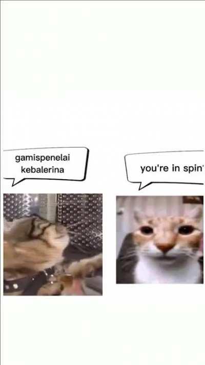 discordVideos - Video #2138