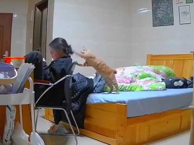 oh look, a punching bag