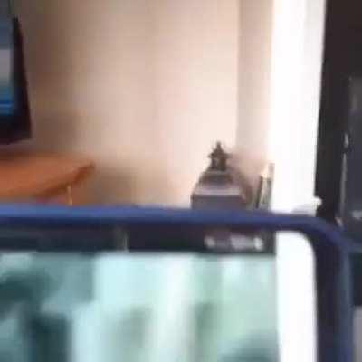 Prime minister of ireland