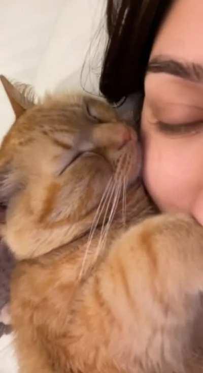 A Very Cuddly Chonker