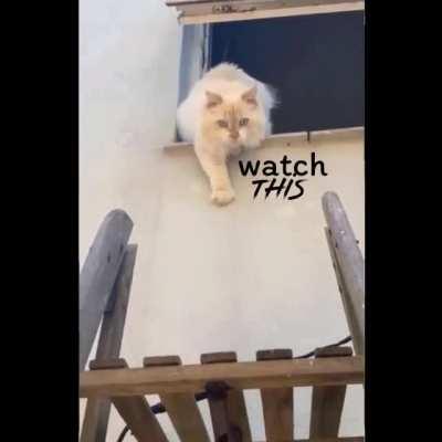 “Do not attempt this at home”