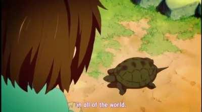 Yui’s turtle song