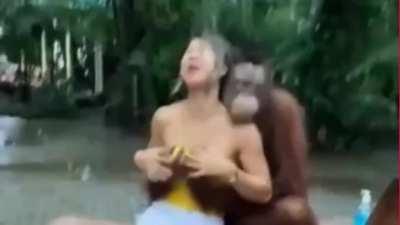 Got high and made a monke edit