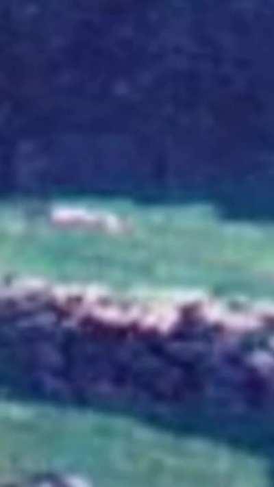 No the shitty memes are not back! This is random posting