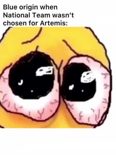 *Cries in sub-orbital rocket*