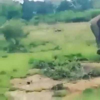 Наглядное пособие по естественному отбору