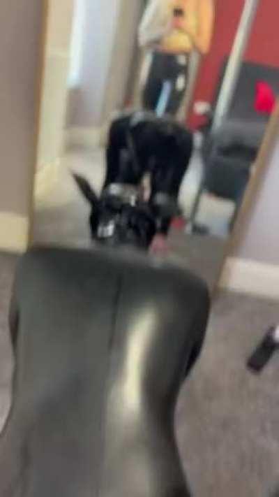 I love making men do humiliating things.