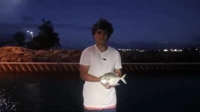 Don't mind me I'm just gonna share random videos i found on my phone #8