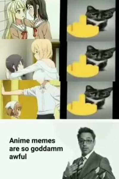 Animemes rule