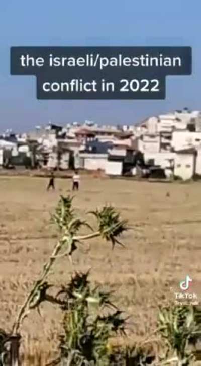 the evil IOF murdering a innocent Palestinian 😨😱😭😢😨😰