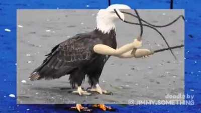 The new American-Ukrainian bio weapon just dropped.