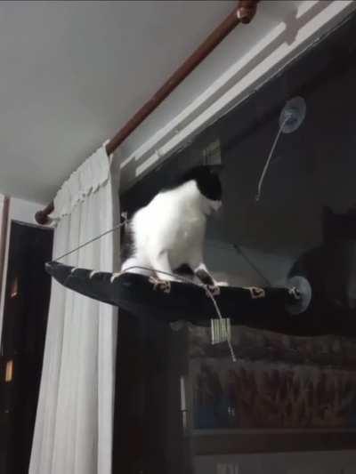 Wunker forgets about physics