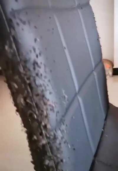 Why you looking at me!? I didn't do that...