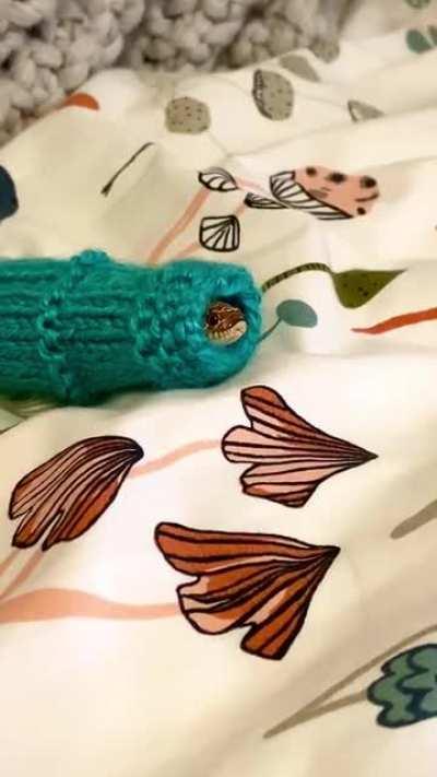 Baby Angus is looking pretty cozy in his sweater :)