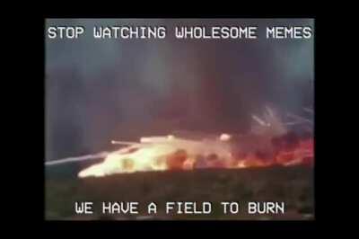 We have a field to burn