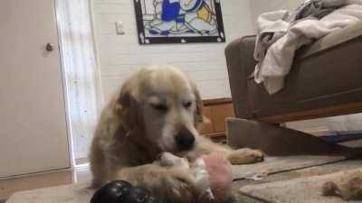 Henry believes that all pigs should be unstuffed on sight. Henry acts on his beliefs.