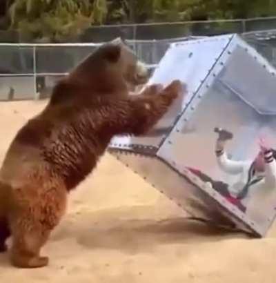 Nobody: ............................. Danganronpa executions: