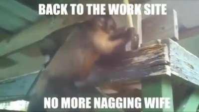 Back to the work site