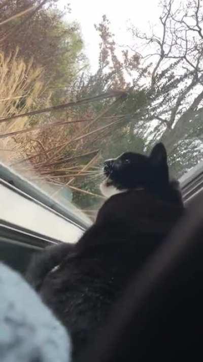 She’s a chatty lady