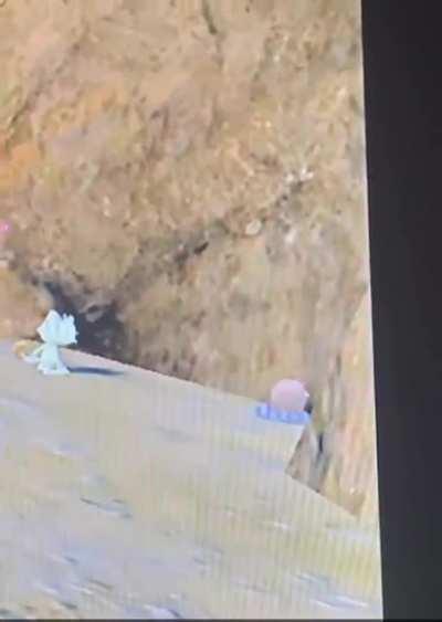 Little buddy is not okay