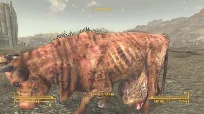 Hitting the Fiend's where it hurts